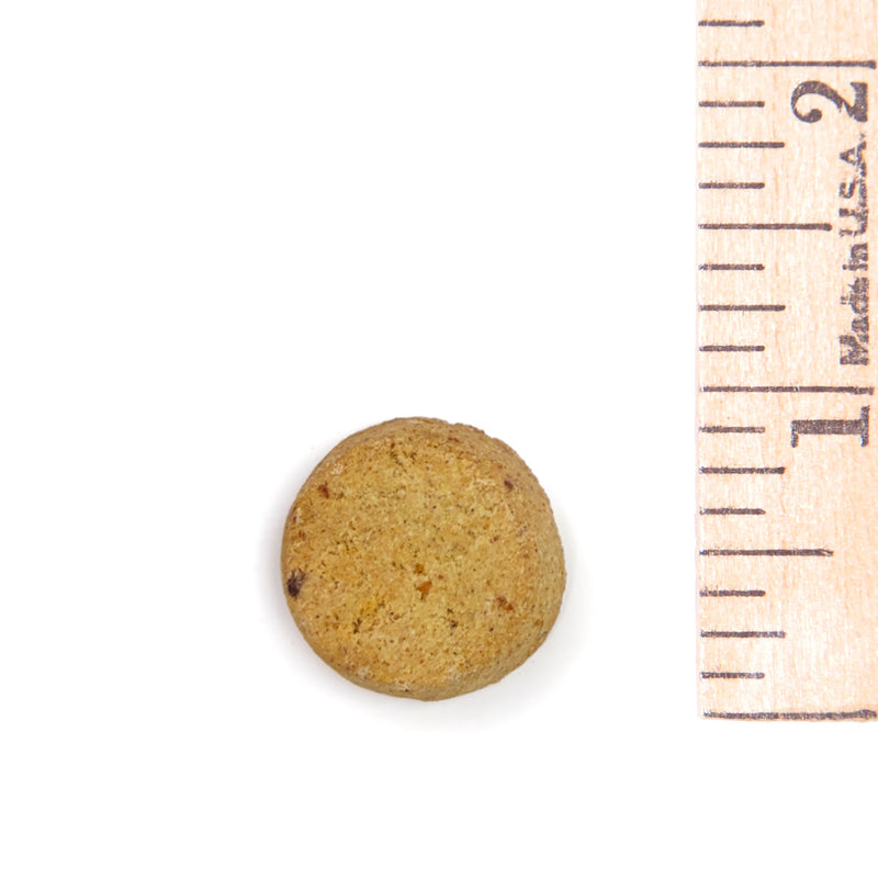 Pumpkin Yogurt - 20lb Bulk